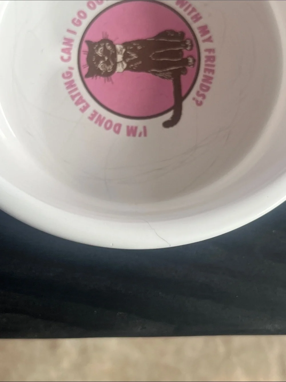 Vintage Cat Dish Food Water Bowl 6